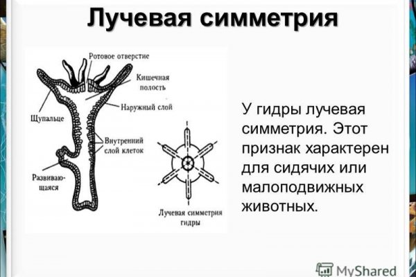 Спрут мега кракен