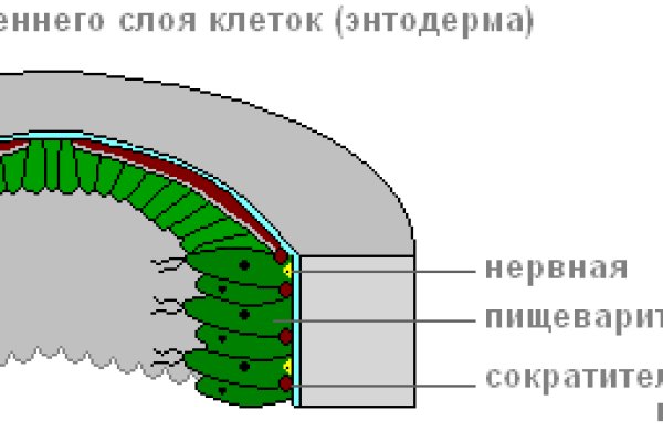 Кракен маркетплейс официальный сайт сайт ссылка