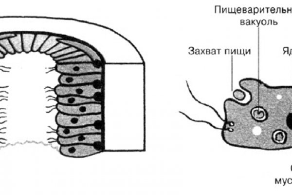 Кракен вход зеркало